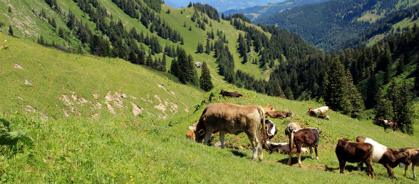 Hotel Bad Wörishofen
