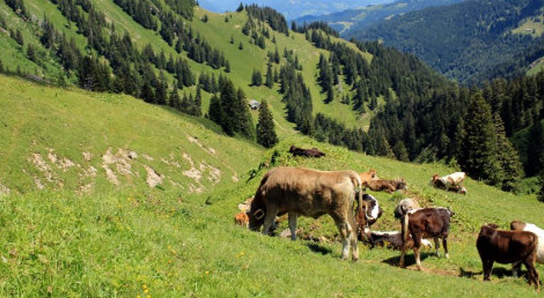 Hotel Bad Wörishofen
