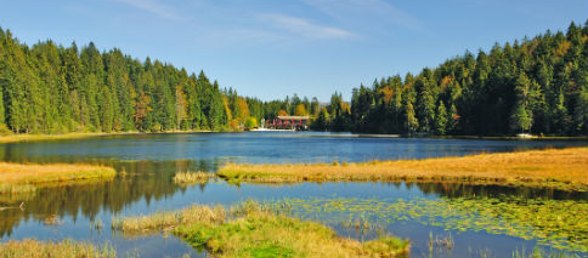 Hotel Bayerischer Wald günstig buchen