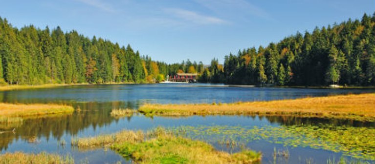 Hotel Bayerischer Wald günstig buchen