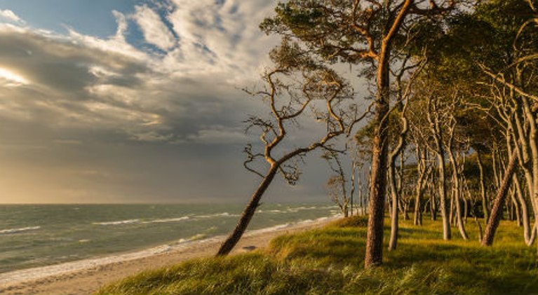 Hotel Mecklenburg-Vorpommern