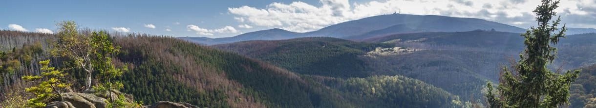 Auszeit im Harz: Urlaub inmitten der Natur