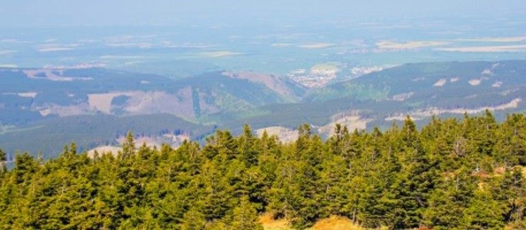 Hotel Harz günstig buchen