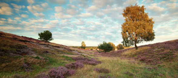 Hotel Lüneburger Heide