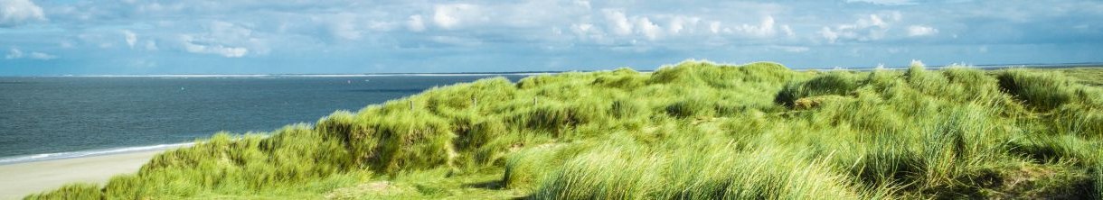 Husum-Urlaub an der Nordsee