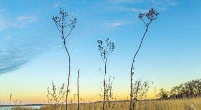 Zinnowitz im Nordwesten der Ostseeinsel