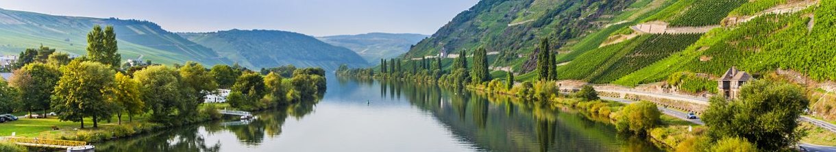 Die Mosel – Urlaub für Genießer und Entdecker mit REWE Reisen buchen