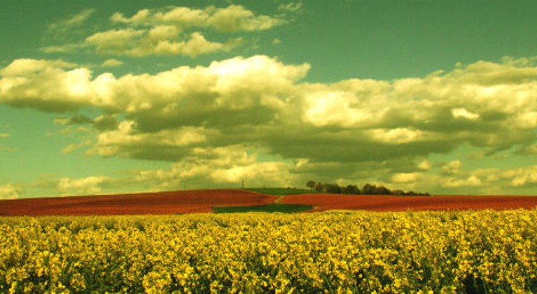 Hotel Meerane günstig buchen 
