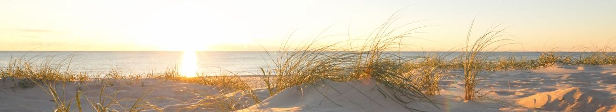 Strandurlaub: Deutschlands sonnige Seiten für Badespaß