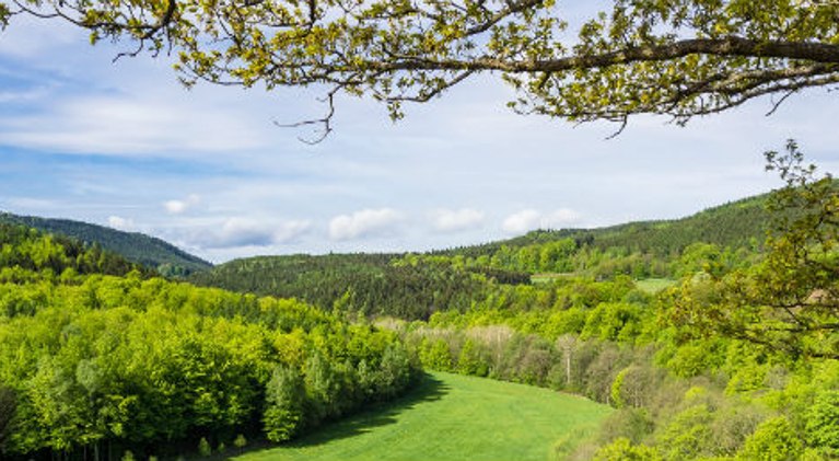 Urlaub Thüringer Wald