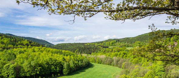 Hotel Thüringer Wald