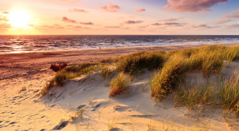 Hotel Noordwijk aan Zee günstig buchen