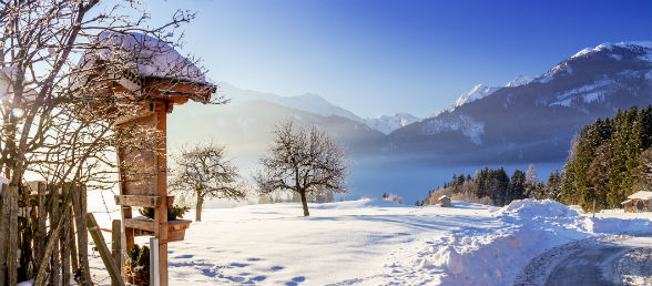 Kitzbühel Hotel günstig buchen