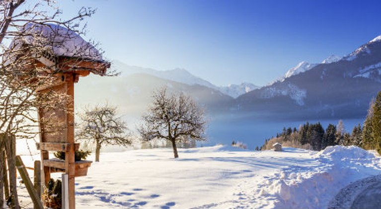 Kitzbühel Hotel günstig buchen