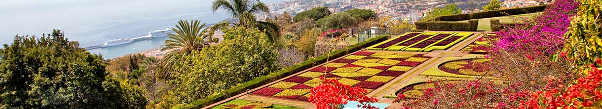 Im Botanischer Garten in Funchal erwartet Sie eine Farbenpracht und tolle Aussicht.