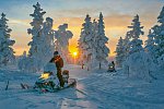 Norwegen / Alta - Die Stadt der Nordlichter