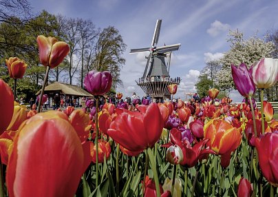 Keukenhof & Hotel Het Wapen van Harmelen Utrecht