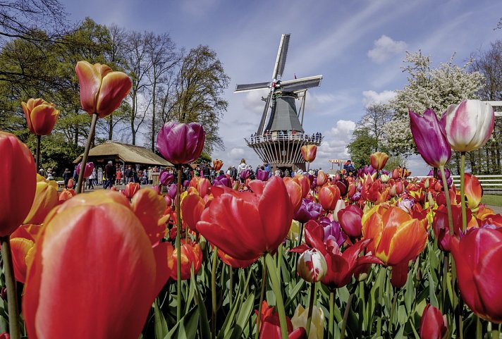 Keukenhof & Hotel Het Wapen van Harmelen - Impressionen Keukenhof