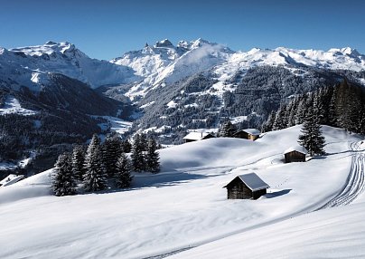 Central Hotel Löwen