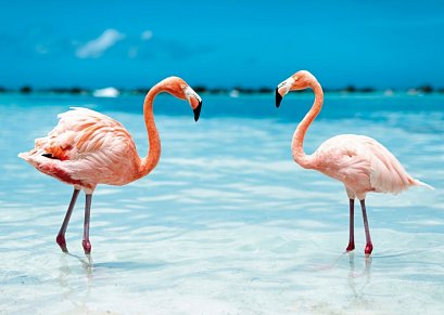 Kreuzfahrt Barbados bis Panama