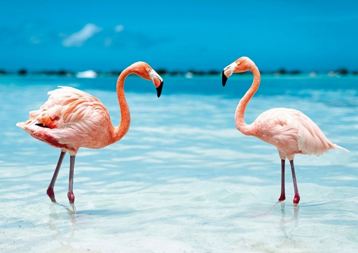 Kreuzfahrt Barbados bis Panama