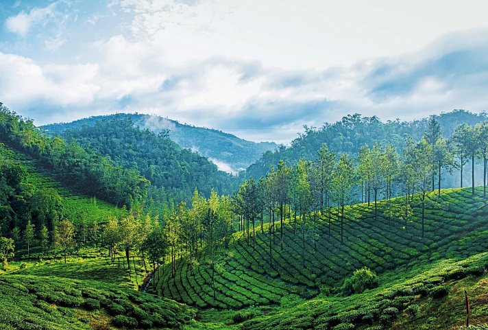 Südindien Rundreise - Periyar Nationalpark
