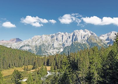 Alpine Mugon Monte Bondone