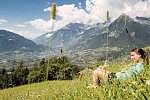 Oliven- und Genusshotel Hirzer