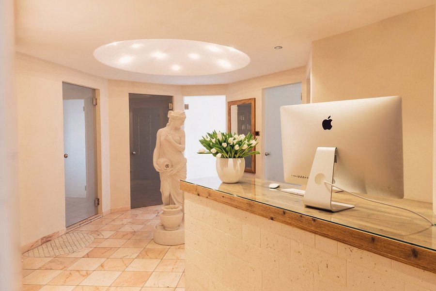 Alpin Royal Wellness Refugium & Resort Hotel - Rezeption Wellnessbereich