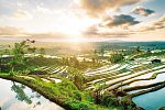 Java und Bali Rundreise & Baden