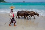 Java und Bali Rundreise & Baden