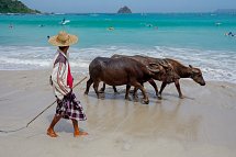 Java und Bali Rundreise & Baden - Lombok