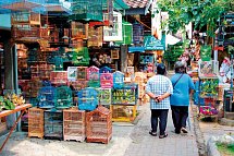 Java und Bali Rundreise & Baden - Vogelmarkt, Yogyakarta