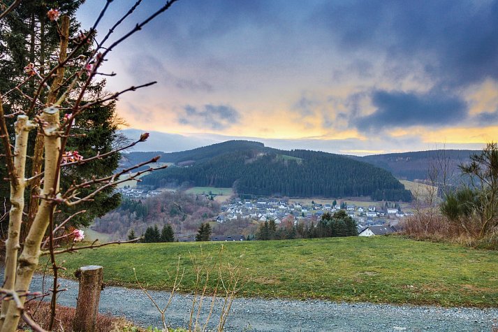 Panorama Hotel Winterberg - Ausblick vom Hotel