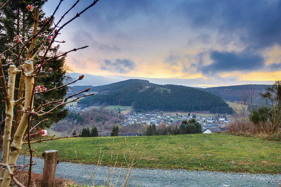 Panorama Hotel Winterberg - Ausblick vom Hotel