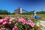 IGA 2027 Ruhrgebiet & Welcome Parkhotel Bochum