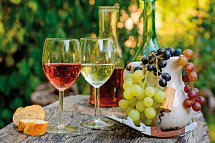 Südafrika Rundreise - Wein-Time