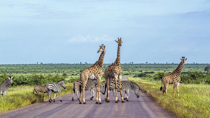 Südafrika Rundreise