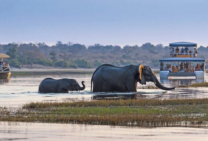 Große Afrika Rundreise - Chobe Nationalpark