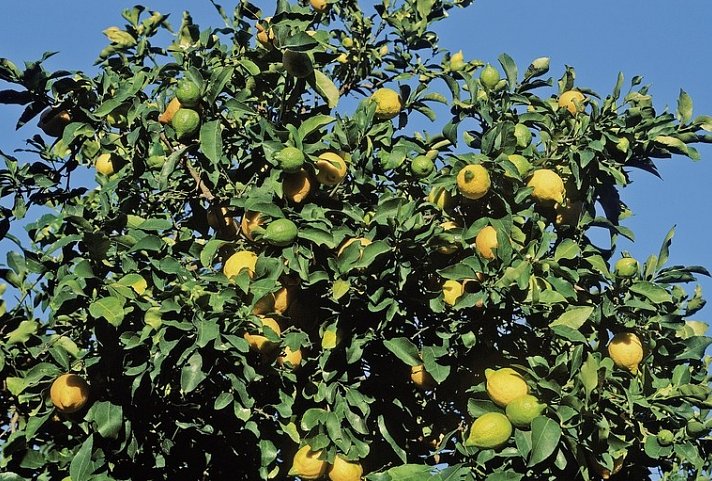 Sizilien Küstenzauber