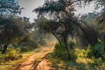 Nordindien-Rajasthan Rundreise