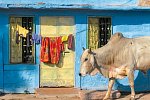 Indien-Rajasthan Rundreise