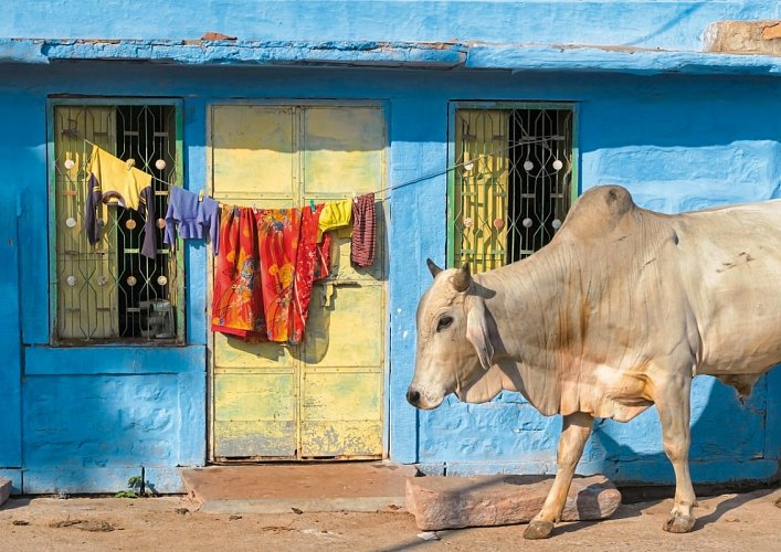 Indien-Rajasthan Rundreise - Jodpuhr