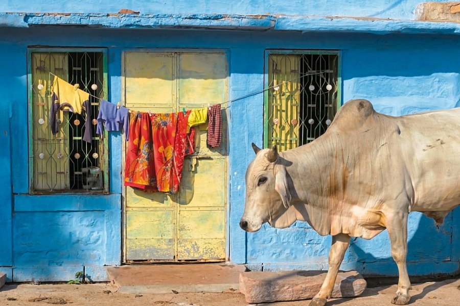 Indien-Rajasthan Rundreise - Jodpuhr