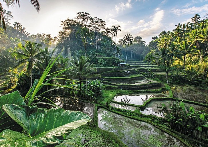 Bali Rundreise & Baden