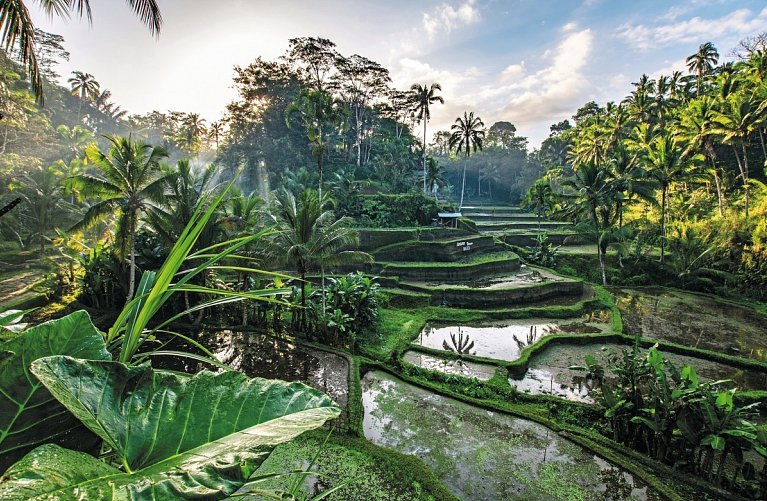 Bali Rundreise & Baden