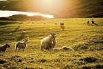 Irland Rundreise