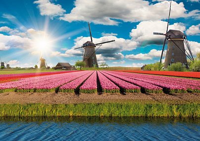 Flusskreuzfahrt Holland Tulpenfelder Schiffe