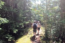 HVD Grand Hotel Suhl - Wanderung im Wald