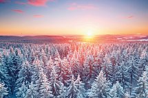 HVD Grand Hotel Suhl - Thüringer Wald im Winter